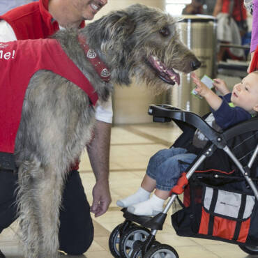 Animal-Assisted Therapy and Children